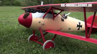 Test PARKZONE Albatros DVa von HORIZON HOBBY [upl. by Myrt]