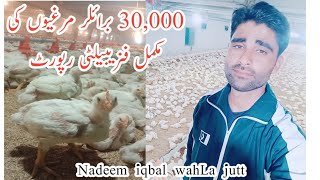 30000 Broiler farming feasibilty report  poultry farming pakistan [upl. by Ronyam]