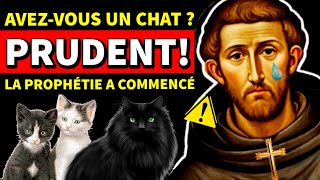 Saint François dAssise a prédit quelque chose de choquant pour les propriétaires de chats [upl. by Walker]