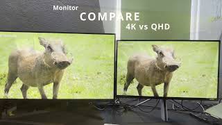 4K or QHD  is 4k worth [upl. by Reppep167]