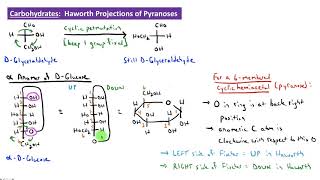 CHEM 2325 Module 36 Haworth Projections of Pyranoses [upl. by Ydnem535]