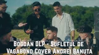 Bogdan DLP  Sufletul de Vagabond Cover Andrei Banuta Official Music [upl. by Egedan]