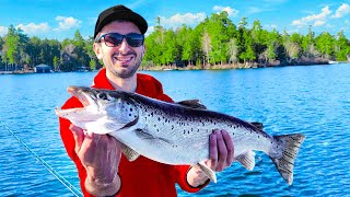 Trophy SALMON Caught on Lake Winnipesaukee [upl. by Ailedo68]