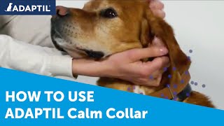 How to use ADAPTIL Collar [upl. by Opportuna]