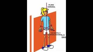 video análisis planos y ejes anatomicos biomecanica articulación del hombro [upl. by Aerol627]