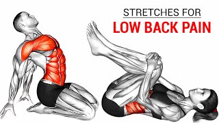 Best Back and Core Exercises For Lower Back Pain [upl. by Ettelimay137]