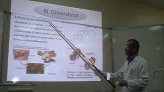 Salkowskis test Part 1 Identification of Cholesterol [upl. by Joshia]