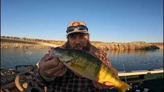 November Perch fishing in Soda lake [upl. by Nauhs163]