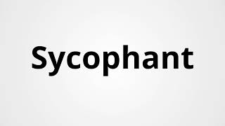 Sycophant  Definition amp Pronunciation  Learn English Vocabulary [upl. by Ahsircal]