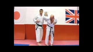 Heian Sandan Bunkai Strategies 2012 week 7 pinan bunkai oyo jutsu [upl. by Odnanreh]