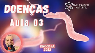 DOENÇAS QUE MAIS CAEM NO ENCCEJA Aula 03  Protozooses [upl. by Vyner]