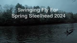 Salmon River Spring Steelhead Swinging Fly 2024 [upl. by Ecitnerp]