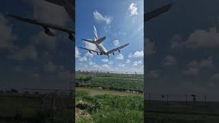 Emirates Airbus A380 landing at Fiumicino Airport landing a380 [upl. by Reste]