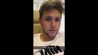 Niall Horan Snapchat Story 2016 Part 1 [upl. by Earized]