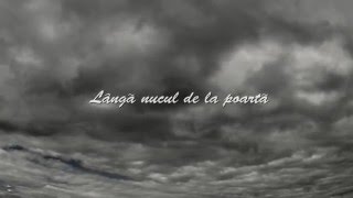 Pasha Parfeni  Acasa Official lyrics video [upl. by Aicilas]