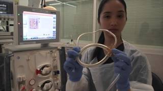 Setting up a Haemodialysis Machine Fresenius 5008 [upl. by Lydon]