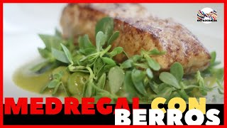 MEDREGAL CON BERROS RECETA DELICIOSA FÁCIL Y DIETÉTICA [upl. by Tiram]