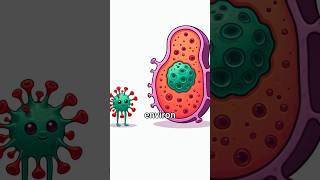 Questce quun virus science biologie virus [upl. by Thornton]