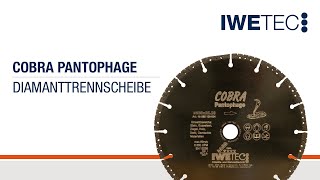 Cobra Pantophage  Diamanttrennscheibe  IWETEC [upl. by Cyril]