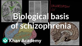 Biological basis of schizophrenia  Behavior  MCAT  Khan Academy [upl. by Coumas]