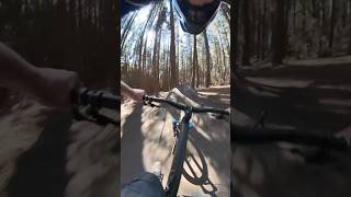 Watch Out For Trees On This MTB Trail [upl. by Urbano]