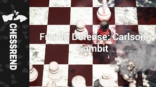 French Defense Carlson Gambit Shorts [upl. by Bumgardner]