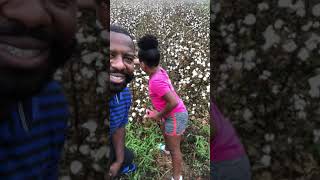 Picking Cotton With Delise [upl. by Kenelm]