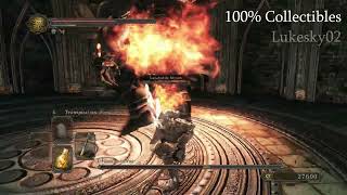 Dark Souls 2  BOSS  Le Démon Fondeur  The Smelter Demon  100 Collectibles  Guide [upl. by Ssac]