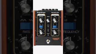 Ringer Bringer warm audiowarmaudio ringer pedal pedalboard guitareffects homestudiosetup [upl. by Rosecan]