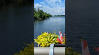 Scenic Bridge Views At Belwood Overlooking the Grand River [upl. by Glass]