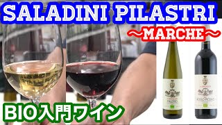 【ワイン】 SALADINI PILASTRI BIO入門ワイン テイスティング [upl. by Ihtak603]