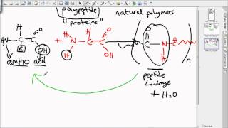 level 3 polymers [upl. by Nylasoj]