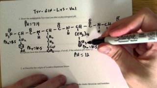 More Peptide bond formation and Amino Acid structure problems [upl. by Ynettirb]