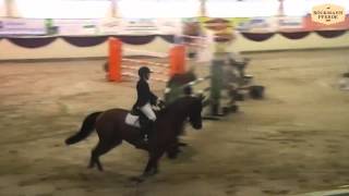 quotDaily Sunquot  Leonie Böckmann  CSI Damme 2015 [upl. by Micheal]