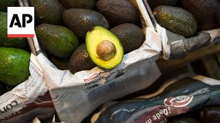 Avocados tequila and more iconic Mexican products are jeopardized by Trumps tariff threats [upl. by Treblig]