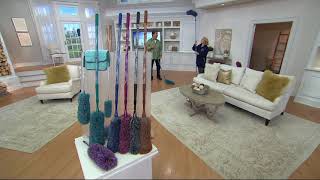 6Piece EasyReach Microfiber Duster Set by Campanelli on QVC [upl. by Aphra]