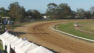 Bundaberg 20241105 Race 5 [upl. by Ahsilrac]