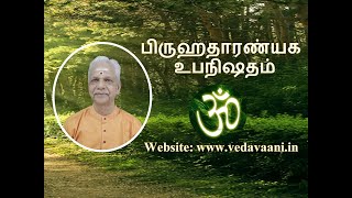 BrihadaranyakamTalk21Ch1Sec4Mantra 10Avidyasutra Bhashyamdt 5124 [upl. by Onilecram]