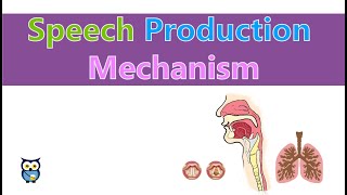 Speech Production Mechanism [upl. by Anitsrhc]