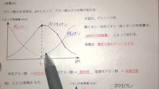 【17 アミノ酸の性質・等電点の意味】高分子化合物3 アミノ酸・タンパク質・核酸 [upl. by Bradway]