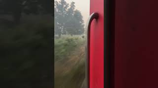 Suhaildev sf express flying  train morning viralvideo asmr [upl. by Everick]