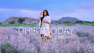 AYAAN DHAWRSAN DHIBTOODAY OFFICIAL VIDEO 2019 [upl. by Alleris]