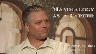 Chat with Mammalogist Jim Dines about Mammalogy as a Career [upl. by Tnairb]