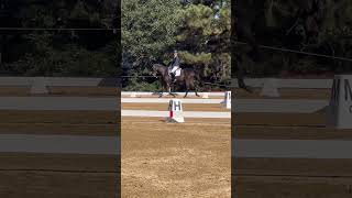 Our dressage test novice test a eventing turnitup bmecitsyourmove [upl. by Sloane]