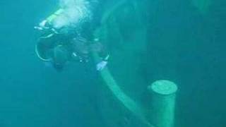 Diving in Lake Huron [upl. by Nylrehc]