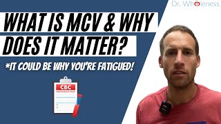 Are big red blood cells causing fatigue What is your MCV [upl. by Karim]