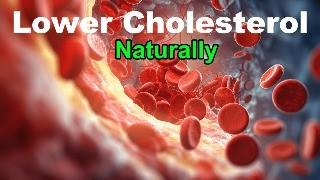 Lower Cholesterol Reduce the Bad LDL and Boost the Good HDL [upl. by Sundberg919]