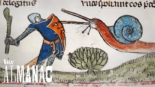 Why knights fought snails in medieval art [upl. by Arikihs]