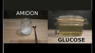 Comment transformer de lamidon en glucose [upl. by Ennaul]