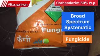 Carbendazim 50 wp fungicide  how to use carbendazim A to z [upl. by Airotal]